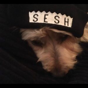 Meet your Posher, Emelly